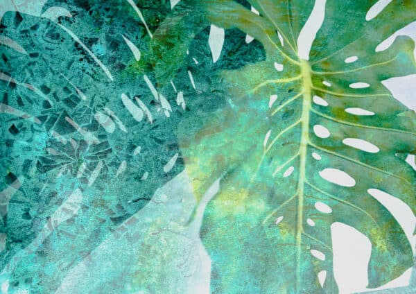 Monstera