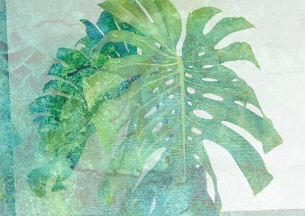 Monstera - Option 2