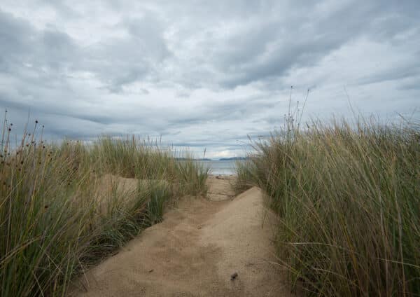Beachwalk Tasmania