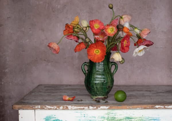 Poppies Still life